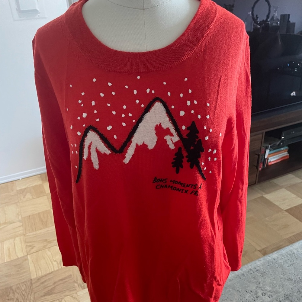 J. Crew EMBROIDERED "CHAMONIX" MERINO WOOL TIPPI SWEATER SZ L,